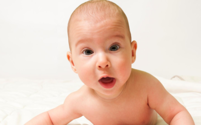 The daftest reasons why people haven’t made their Will yet