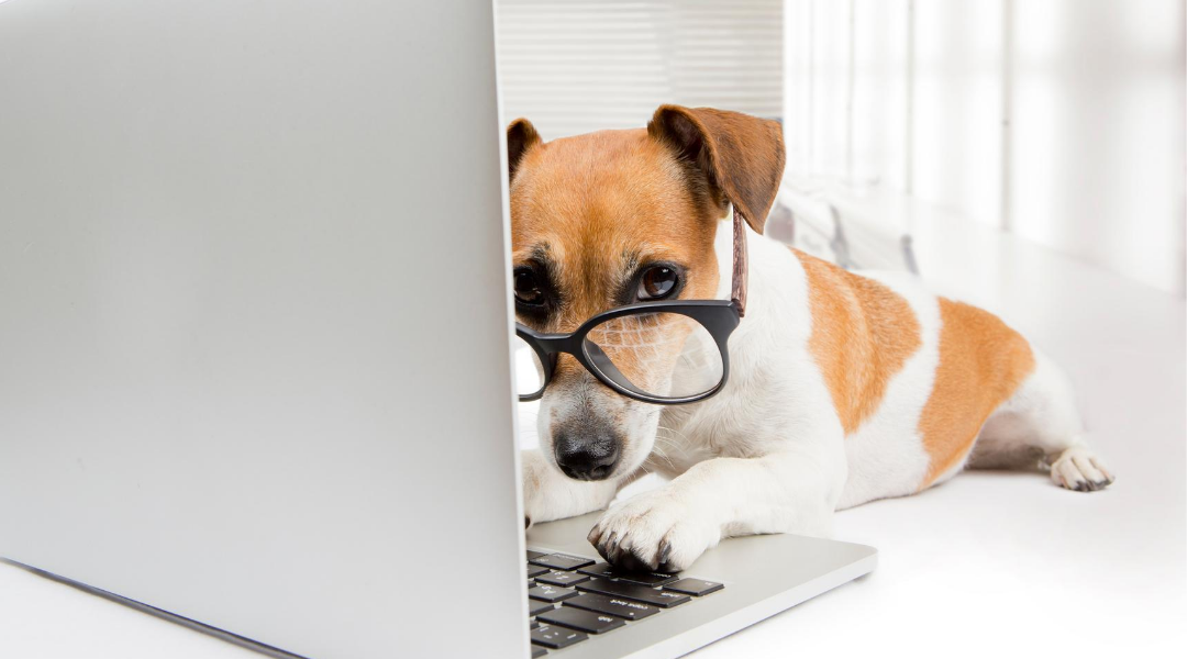 The rise of the “Google Lawyer”
